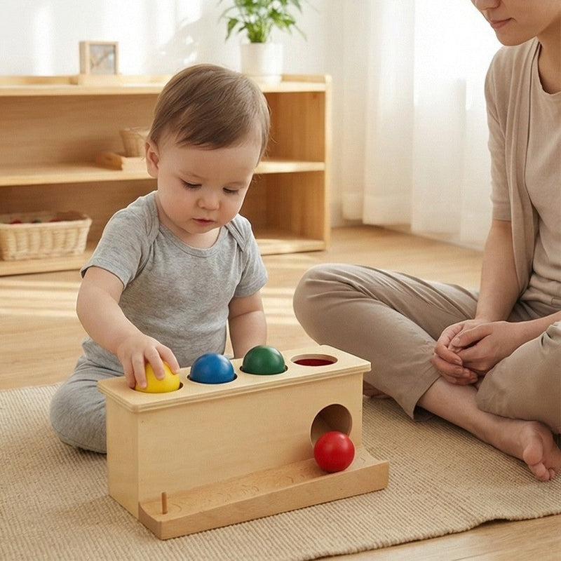 Montessori 6-12 Months Materials