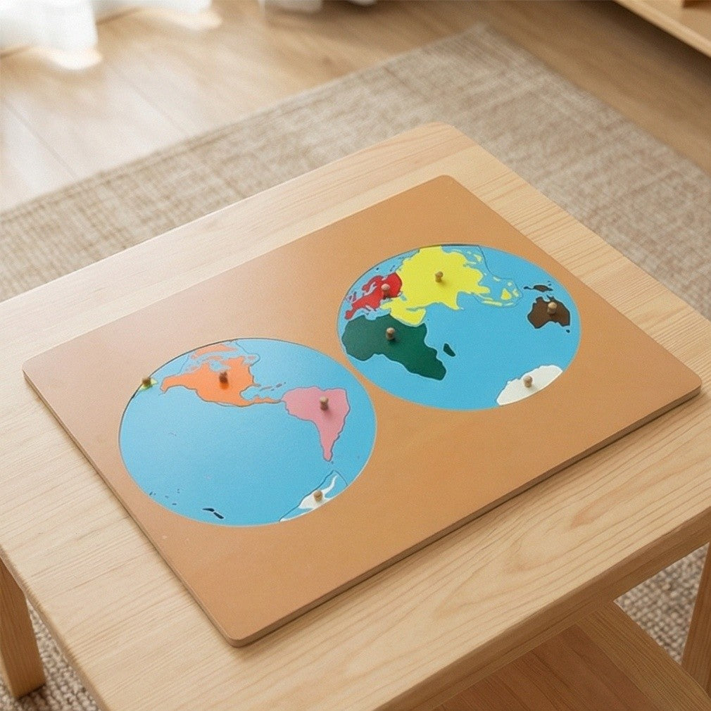 Puzzle Map of the World Parts